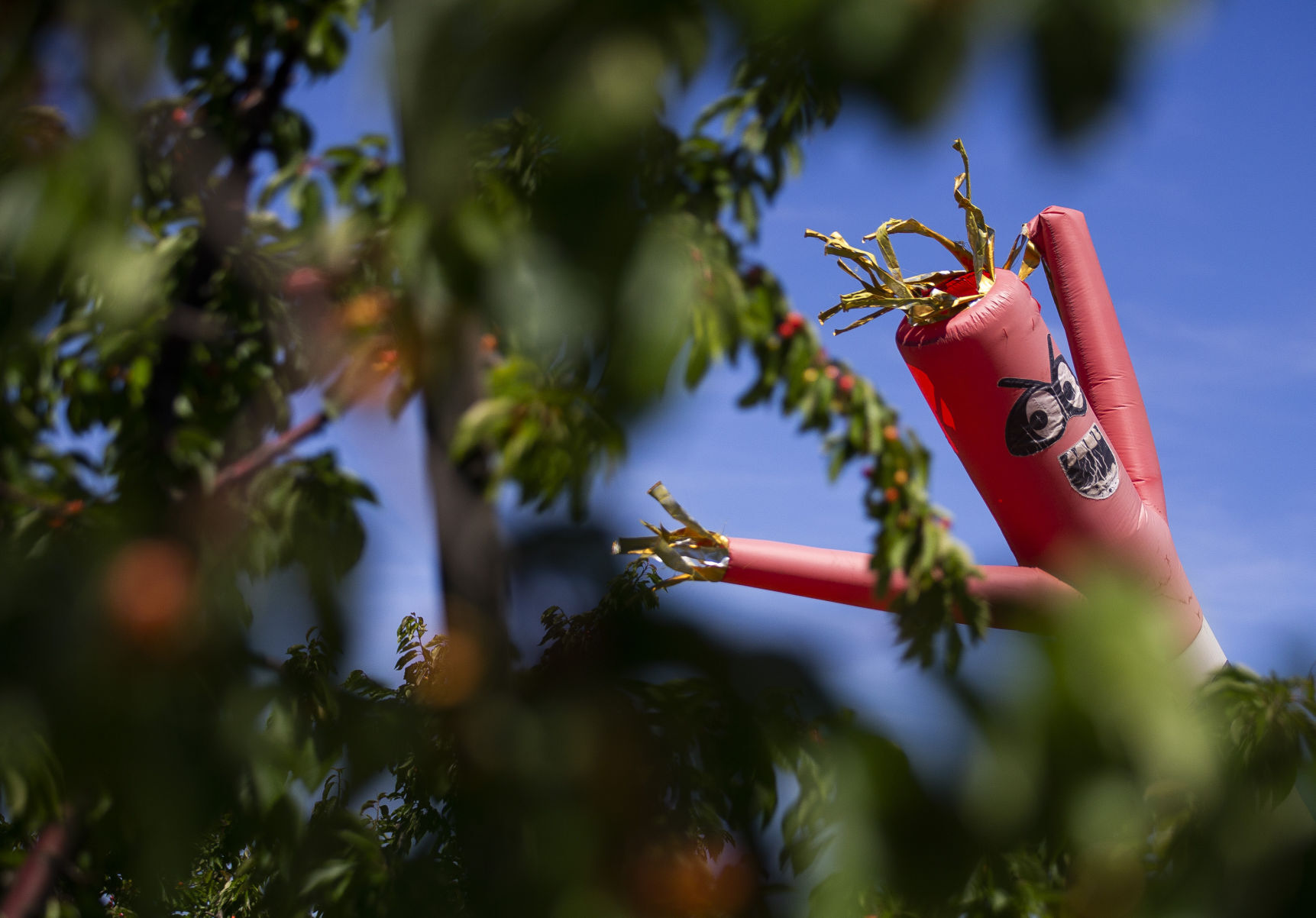 June 18, 2020 | Inflatable scarecrow